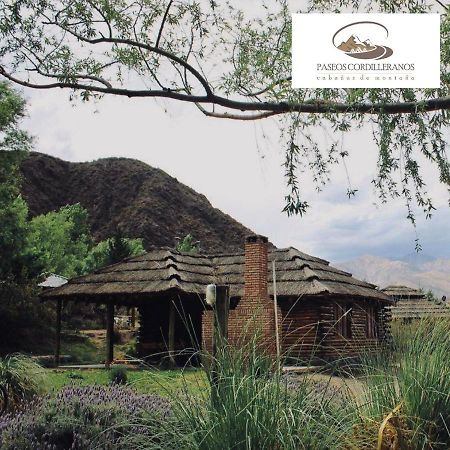 Villa Cabana 17 Potrerillos à Mendoza Extérieur photo